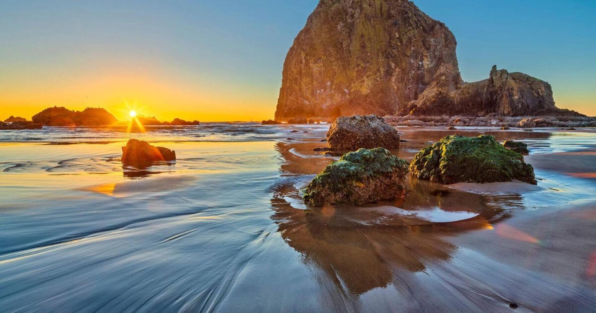 Pacific Northwest Beach House 5G Ev Charger Dog جيرهارت المظهر الخارجي الصورة